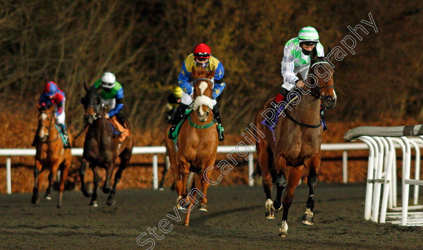 Ruby-Red-Empress-0001 
 Horses canter to the start, led by RUBY RED EMPRESS (Ben Curtis)
Kempton 3 Feb 2021 - Pic Steven Cargill / Racingfotos.com