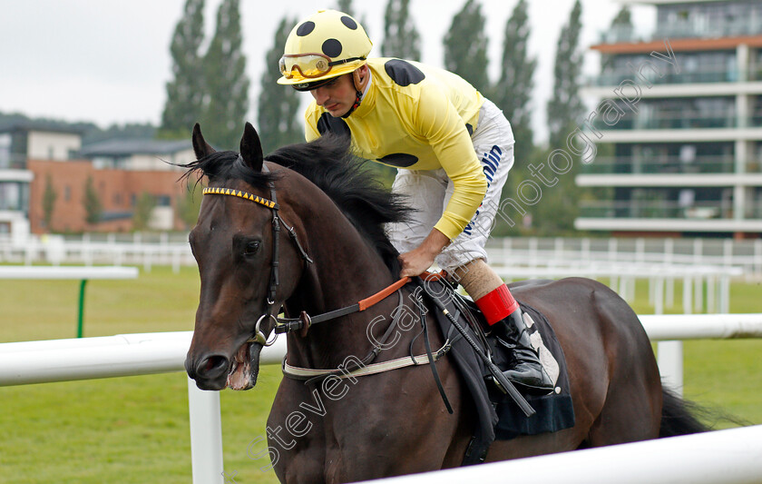 Repartee-0001 
 REPARTEE (Andrea Atzeni)
Newbury 19 Jul 2019 - Pic Steven Cargill / Racingfotos.com