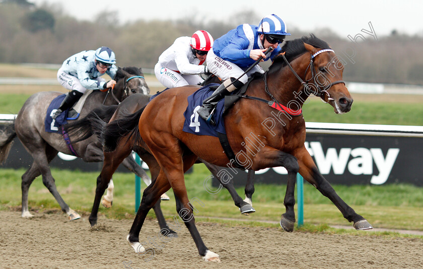 Mohtarrif-0007 
 MOHTARRIF (Martin Dwyer) wins The Ladbrokes Home Of The Odds Boost Novice Stakes
Lingfield 23 Mar 2019 - Pic Steven Cargill / Racingfotos.com