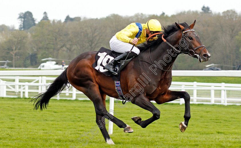 Young-Rascal-0003 
 YOUNG RASCAL (James Doyle) wins The Carter Jonas Maiden Stakes Newbury 21 Apr 2018 - Pic Steven Cargill / Racingfotos.com