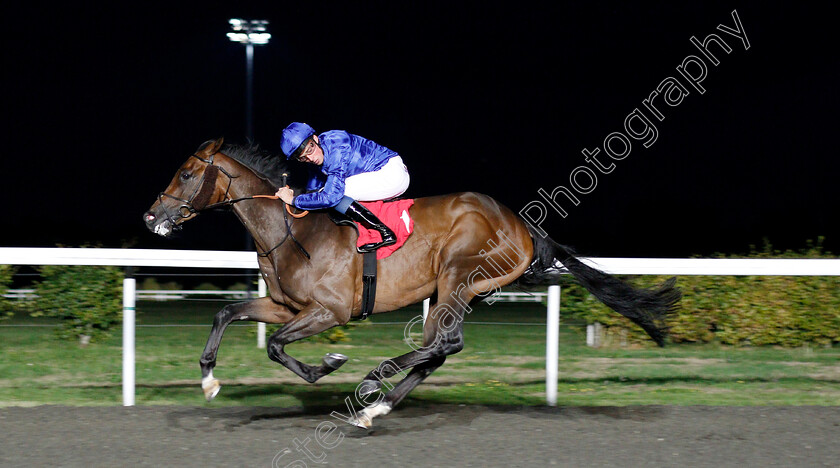 African-Jazz-0004 
 AFRICAN JAZZ (William Buick) wins The 32Red Handicap
Kempton 29 Aug 2018 - Pic Steven Cargill / Racingfotos.com