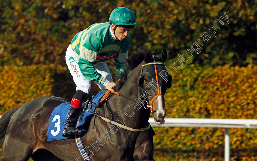 Havana-Goldrush 
 HAVANA GOLDRUSH (Shane Kelly)
Kempton 10 Nov 2021 - Pic Steven Cargill / Racingfotos.com