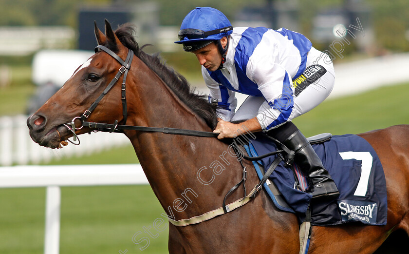 Moel-Arthur-0002 
 MOEL ARTHUR (Neil Callan)
Ascot 26 Jul 2024 - Pic Steven Cargill / Racingfotos.com