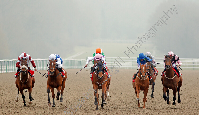 Constantino-0001 
 CONSTANTINO (centre, Paul Hanagan) beats HUMBERT (2nd left) and SEA FOX (right) in The Play For Free At sunbets.co.uk/vegas Handicap Lingfield 3 Mar 2018 - Pic Steven Cargill / Racingfotos.com