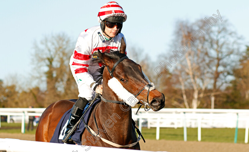 Dazzling-Des-0001 
 DAZZLING DES (Jason Hart)
Lingfield 8 Feb 2020 - Pic Steven Cargill / Racingfotos.com