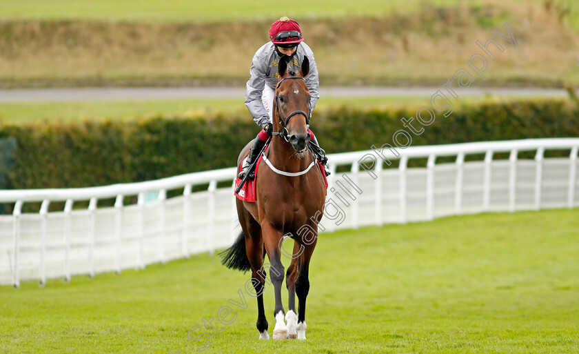 Toro-Strike-0001 
 TORO STRIKE (Oisin Murphy)
Goodwood 30 Aug 2020 - Pic Steven Cargill / Racingfotos.com