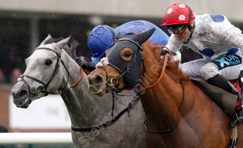 Search-For-Light-0006 
 SEARCH FOR LIGHT (left, Pat Cosgrave) beats THANKS BE (right, Stevie Donohoe) in The Betway British EBF Fillies Novice Stakes Div1
Haydock 27 Apr 2019 - Pic Steven Cargill / Racingfotos.com