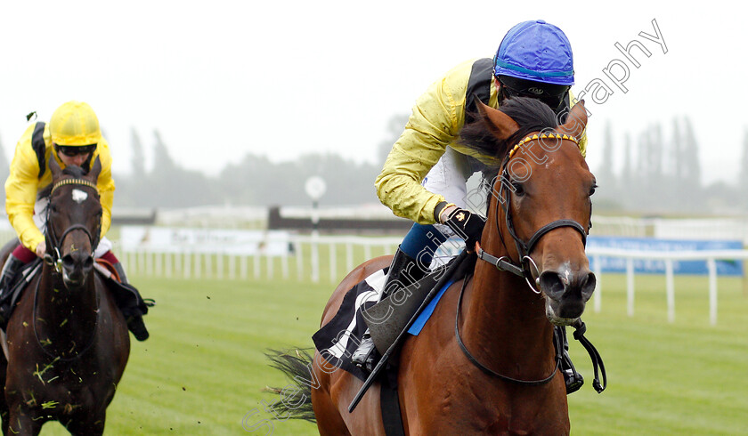 Mottrib-0006 
 MOTTRIB (David Egan) wins The Be Wiser Insurance Novice Stakes
Newbury 13 Jun 2019 - Pic Steven Cargill / Racingfotos.com