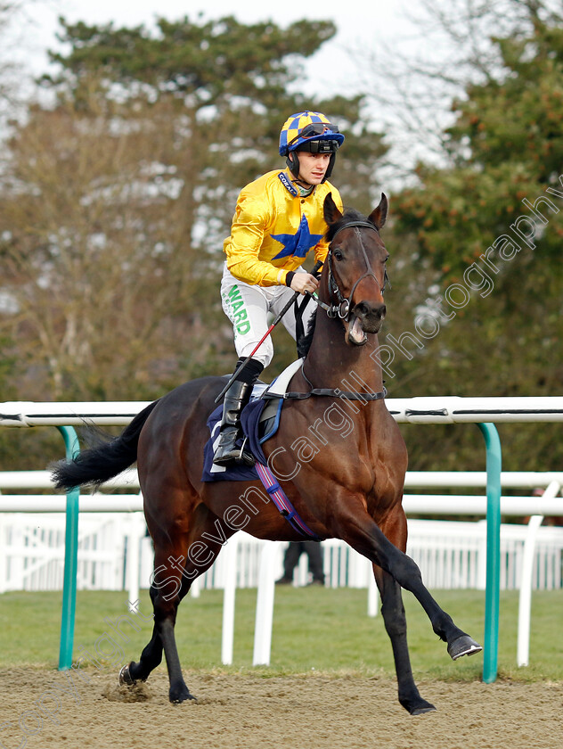 Balon-d Or-0001 
 BALON D'OR (Jason Hart)
Lingfield 20 Jan 2024 - Pic Steven Cargill / Racingfotos.com