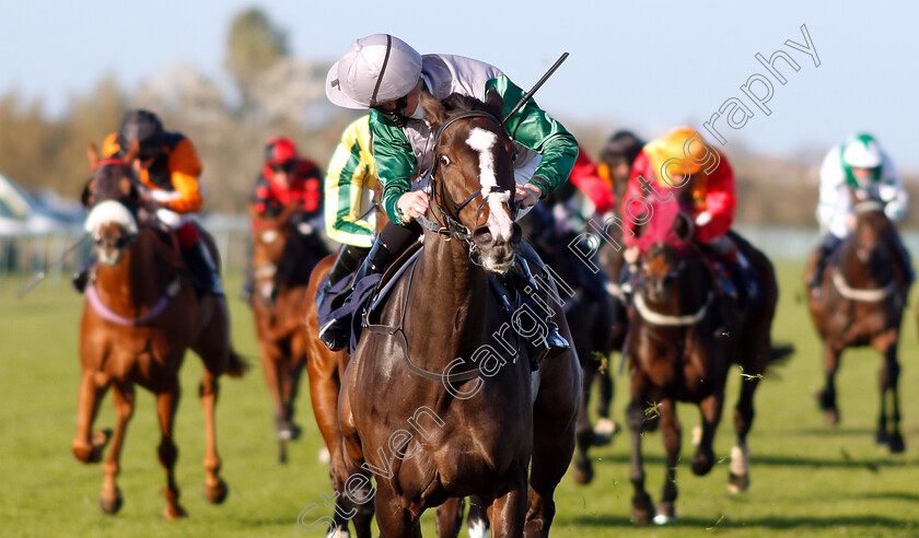 Mystic-Meg-0005 
 MYSTIC MEG (Jack Mitchell) wins The RCA Flat Racecourse Groundstaff Award Winners Handicap
Yarmouth 23 Oct 2018 - Pic Steven Cargill / Racingfotos.com