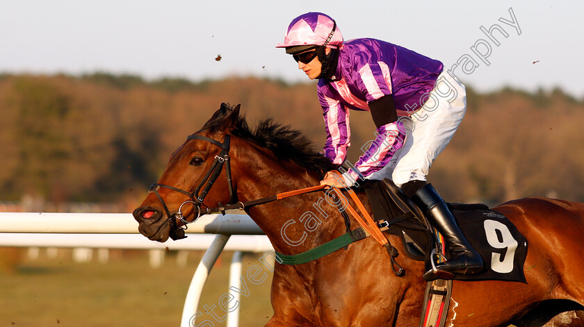 Oksana-0001 
 OKSANA (Jonathan England) wins The Mansionbet Best Odds Guaranteed Handicap Hurdle
Market Rasen 19 Apr 2021 - Pic Steven Cargill / Racingfotos.com