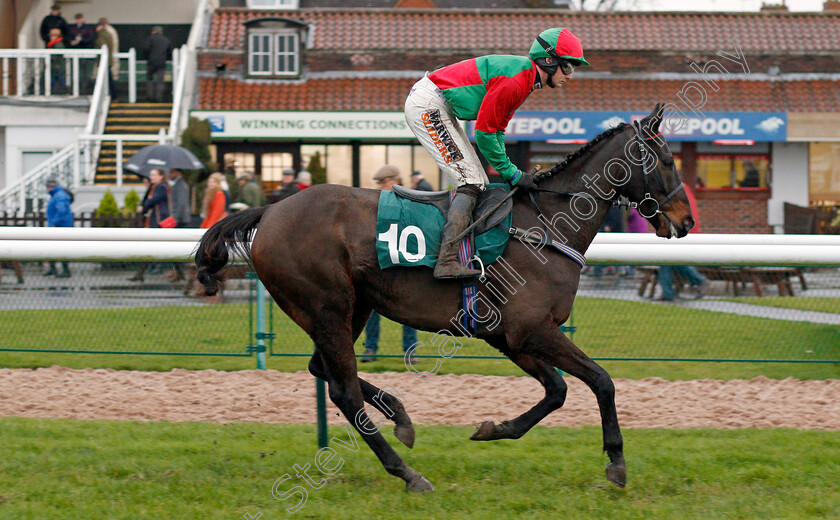 Pointed-Spear-0001 
 POINTED SPEAR (Jack Quinlan)
Warwick 12 Dec 2019 - Pic Steven Cargill / Racingfotos.com