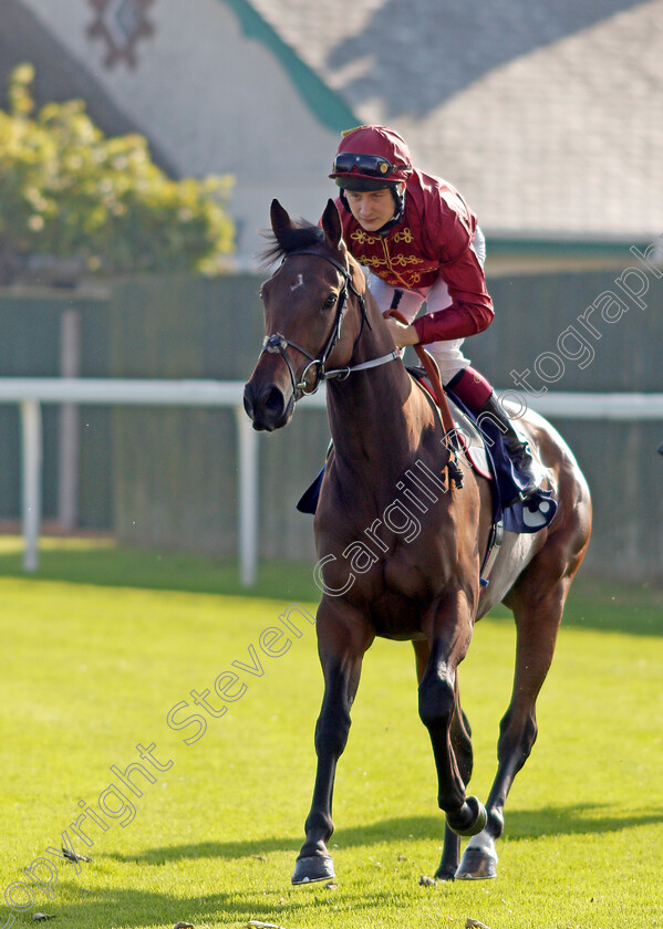 New-Year-Honours 
 NEW YEAR HONOURS (Cieren Fallon)
Yarmouth 19 Oct 2021 - Pic Steven Cargill / Racingfotos.com