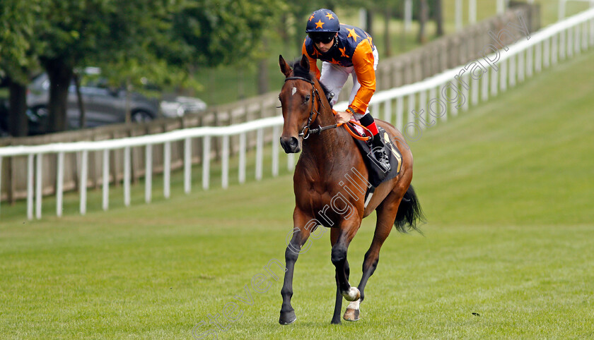 Almighty-Rave-0001 
 ALMIGHTY RAVE (Martin Harley)
Newmarket 26 Jun 2021 - Pic Steven Cargill / Racingfotos.com