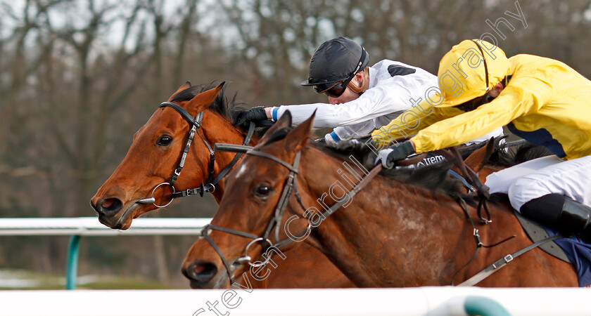 Zest-0006 
 ZEST (farside, Daniel Muscutt) beats SUMMER ICON (nearside) in The British Stallion Studs 32Red EBF Fillies Conditions Stakes Lingfield 27 Feb 2018 - Pic Steven Cargill / Racingfotos.com