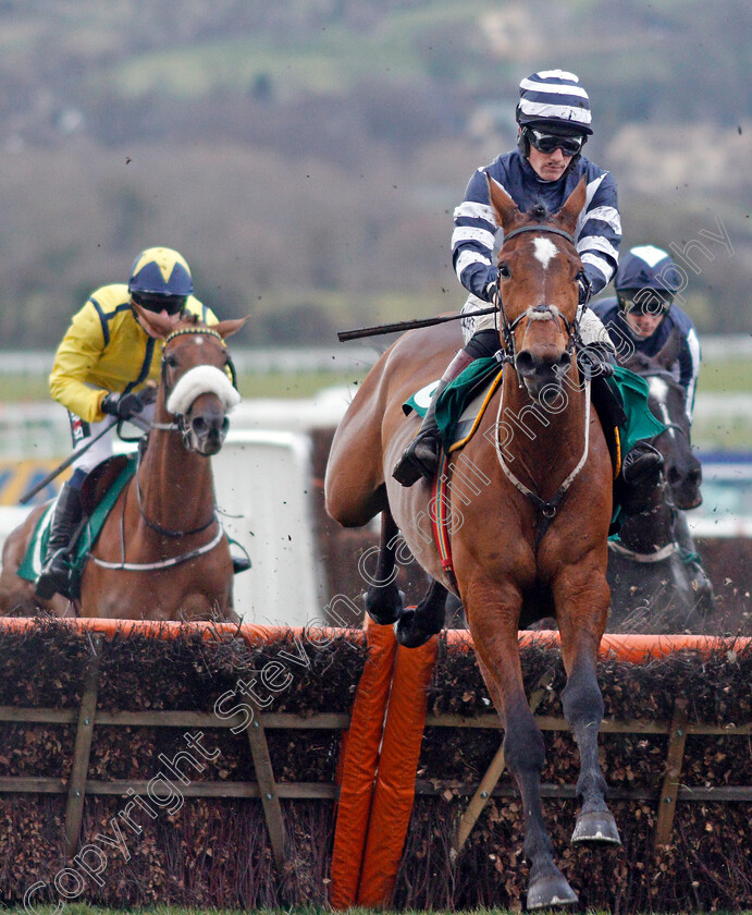 Angels-Antics-0001 
 ANGELS ANTICS (Sam Twiston-Davies) Cheltenham 15 Mar 2018 - Pic Steven Cargill / Racingfotos.com