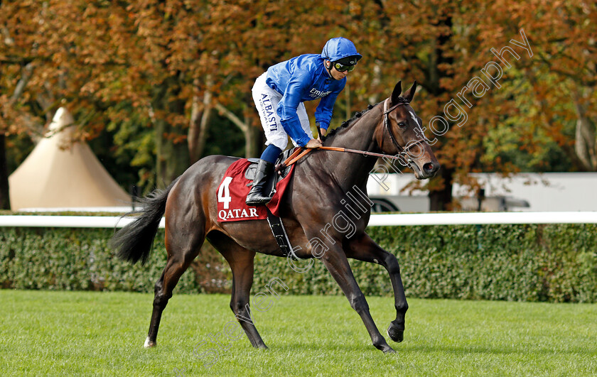 Fleur-d Iris 
 FLEUR D'IRIS (Mickael Barzalona)
Longchamp 3 Oct 2021 - Pic Steven Cargill / Racingfotos.com