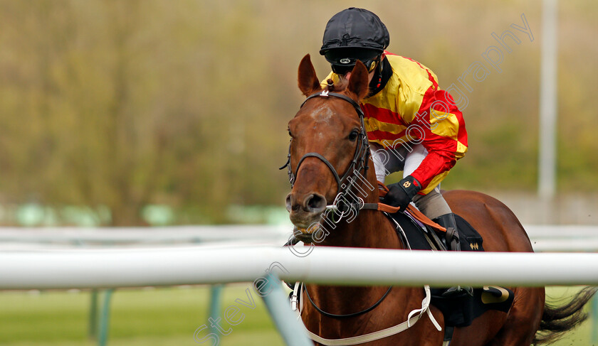 Sir-Ron-Priestley-0003 
 SIR RON PRIESTLEY (Franny Norton) wins The Mansionbet Barry Hill Further Flight Stakes
Nottingham 7 Apr 2021 - Pic Steven Cargill / Racingfotos.com