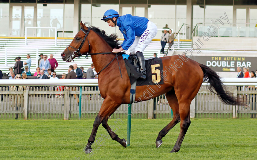 Military-Leader-0001 
 MILITARY LEADER (Ryan Moore)
Newmarket 7 Oct 2023 - Pic Steven Cargill / Racingfotos.com