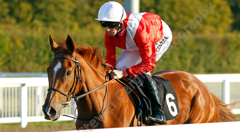 Protest-0007 
 PROTEST (Jack Mitchell) winner of The Juddmonte EBF Fillies Restricted Novice Stakes
Chelmsford 3 Oct 2024 - Pic Steven Cargill / Racingfotos.com