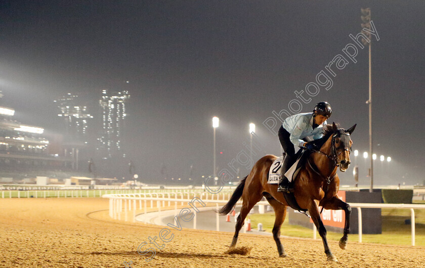 Lauda-Sion-0001 
 LAUDA SION training for the Godolphin Mile
Meydan, Dubai, 21 Mar 2023 - Pic Steven Cargill / Racingfotos.com