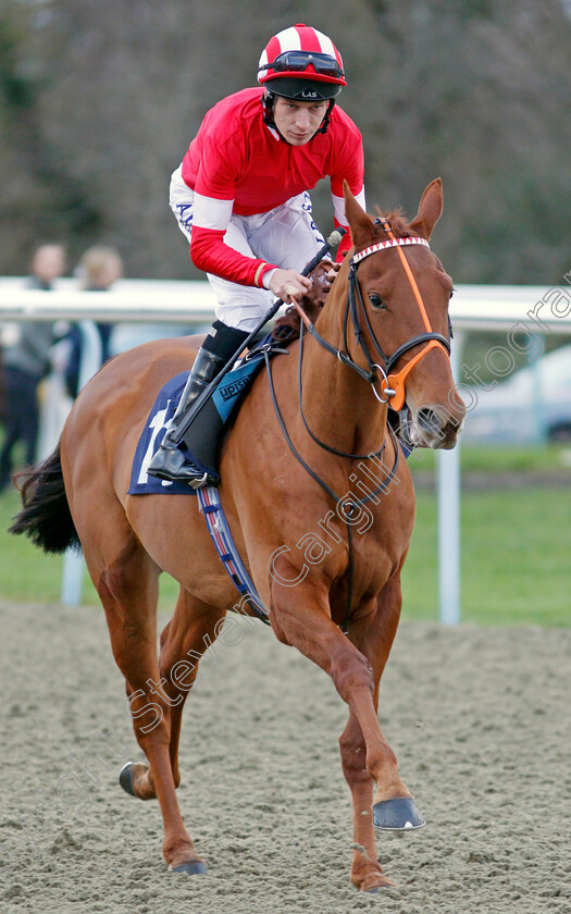 Snap-Ambush 
 SNAP AMBUSH (Luke Morris)
Lingfield 1 Dec 2021 - Pic Steven Cargill / Racingfotos.com