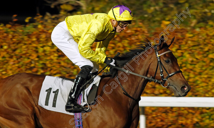 Sea-La-Venus-0002 
 SEA LA VENUS (James Doyle)
Kempton 15 Nov 2023 - Pic Steven Cargill / Racingfotos.com