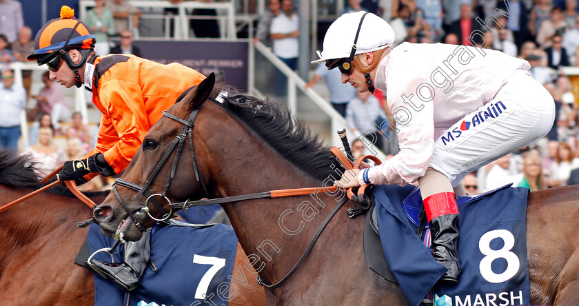 Temple-Church-0001 
 TEMPLE CHURCH (Andrea Atzeni)
Newbury 20 Jul 2019 - Pic Steven Cargill / Racingfotos.com