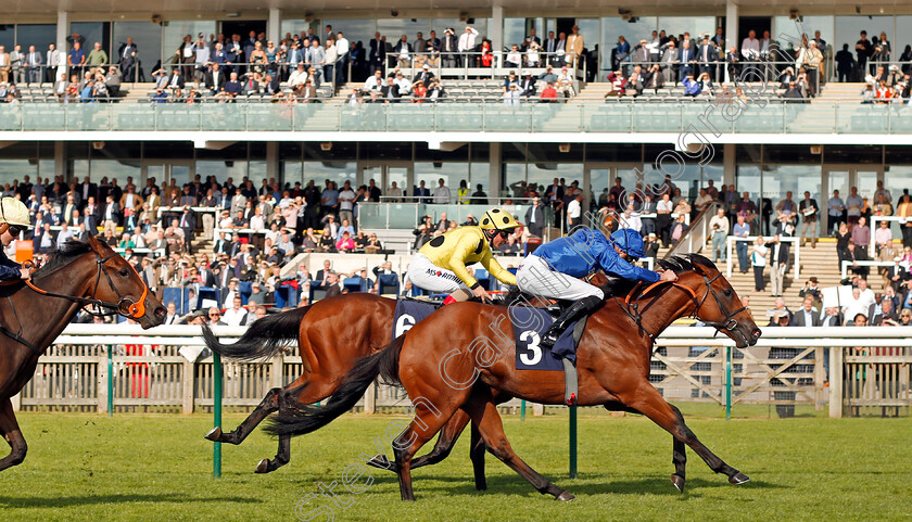 Rastrelli-0003 
 RASTRELLI (James Doyle) beats GLOBAL CONQUEROR (farside) and PAINT (left) in The newmarketracecourses.co.uk Nursery Newmarket 28 Sep 2017 - Pic Steven Cargill / Racingfotos.com