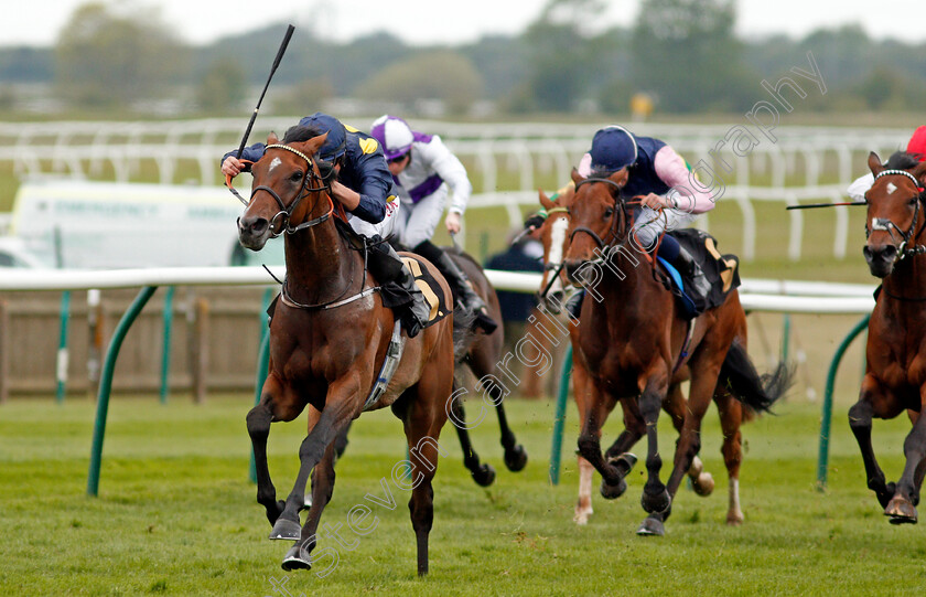 A-Star-Above-0003 
 A STAR ABOVE (Tom Marquand) wins The Betfair Weighed In Podcast Handicap
Newmarket 14 May 2021 - Pic Steven Cargill / Racingfotos.com