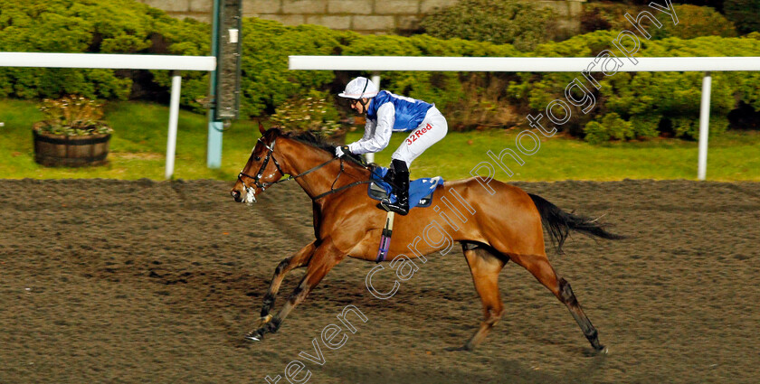 Humbert-0005 
 HUMBERT (Josephine Gordon) wins The Smarter Bets With Matchbook Maiden Stakes Kempton 13 Dec 2017 - Pic Steven Cargill / Racingfotos.com