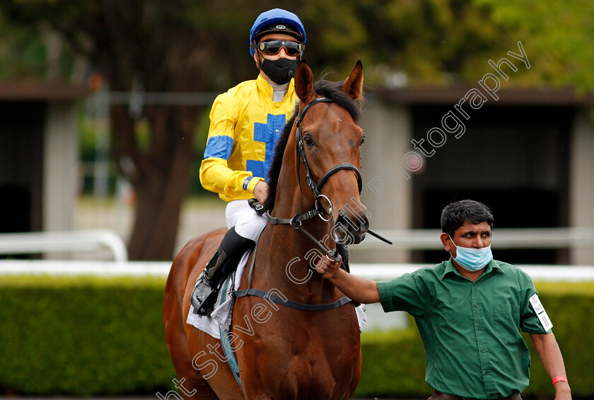 Strictly-Spicy-0001 
 STRICTLY SPICY (Mohammed Tabti)
Kempton 2 Jun 2021 - Pic Steven Cargill / Racingfotos.com