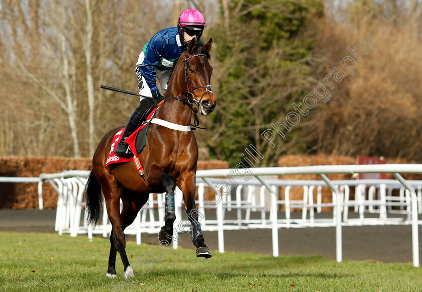 St-Pancras-0001 
 ST PANCRAS (Kevin Brogan)
Kempton 22 Feb 2025 - Pic Steven Cargill / Racingfotos.com