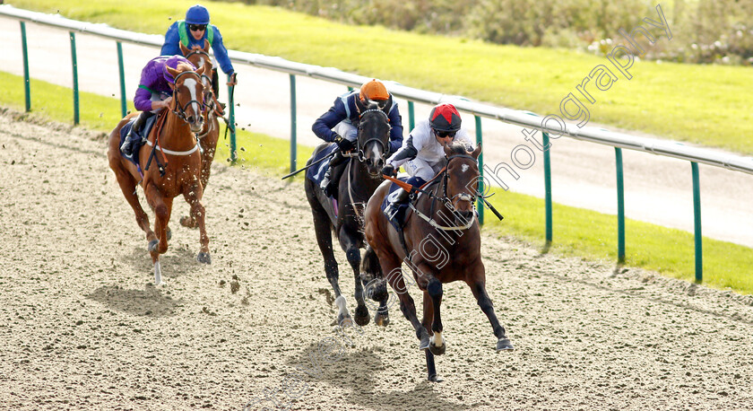 Golden-Mayflower-0002 
 GOLDEN MAYFLOWER (Silvestre De Sousa) wins The Coral EBF Fillies Restricted Novice Stakes
Lingfield 28 Oct 2021 - Pic Steven Cargill / Racingfotos.com