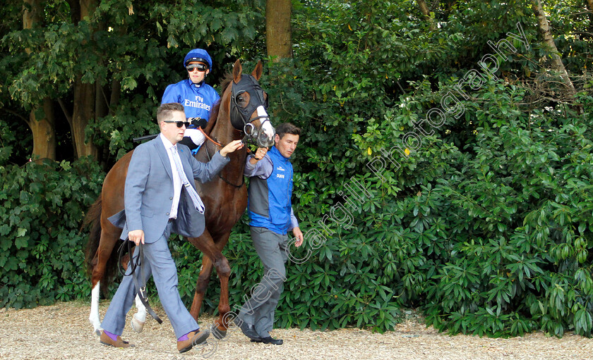 Hawkbill-0001 
 HAWKBILL (William Buick)
Sandown 7 Jul 2018 - Pic Steven Cargill / Racingfotos.com