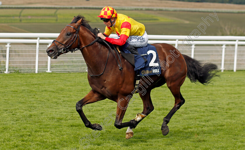 Savvy-Victory-0003 
 SAVVY VICTORY (David Probert) wins The William Hill Handicap
Goodwood 28 Aug 2022 - Pic Steven Cargill / Racingfotos.com