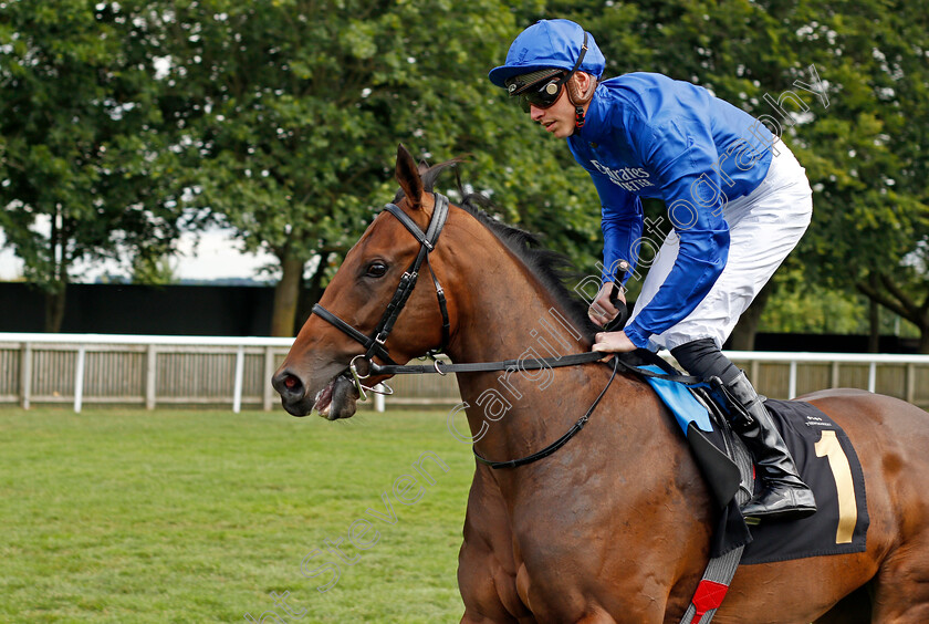 Calm-Skies-0001 
 CALM SKIES (James Doyle)
Newmarket 31 Jul 2021 - Pic Steven Cargill / Racingfotos.com