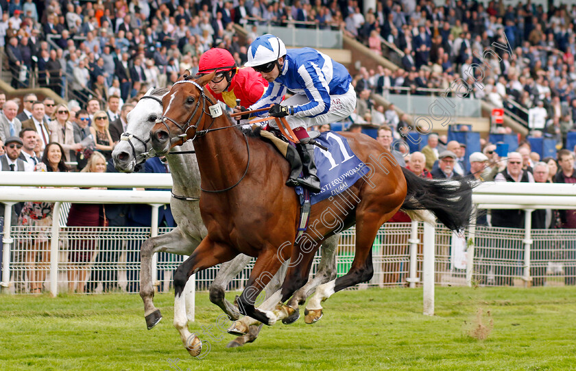 The-Foxes-0005 
 THE FOXES (Oisin Murphy) wins The Al Basti Equiworld Dubai Dante Stakes
York 18 May 2023 - Pic Steven Cargill / Racingfotos.com