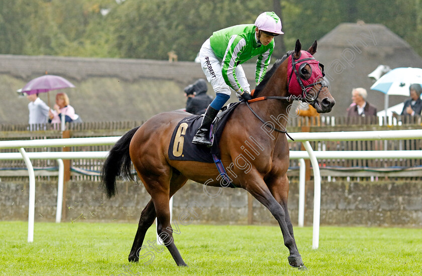 Bang-On-The-Bell-0001 
 BANG ON THE BELL (David Probert)
Newmarket 5 Aug 2023 - Pic Steven Cargill / Racingfotos.com