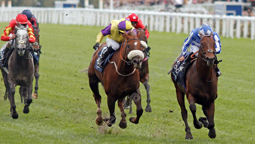 Donjuan-Triumphant-0003 
 DONJUAN TRIUMPHANT (Silvestre De Sousa) beats BRANDO (centre) in The Qipco British Champions Sprint Stakes
Ascot 19 Oct 2019 - Pic Steven Cargill / Racingfotos.com