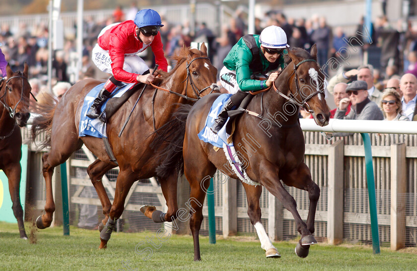 Limato-0004 
 LIMATO (Harry Bentley) wins The Godolphin Stud And Stable Staff Awards Challenge Stakes
Newmarket 12 Oct 2018 - Pic Steven Cargill / Racingfotos.com