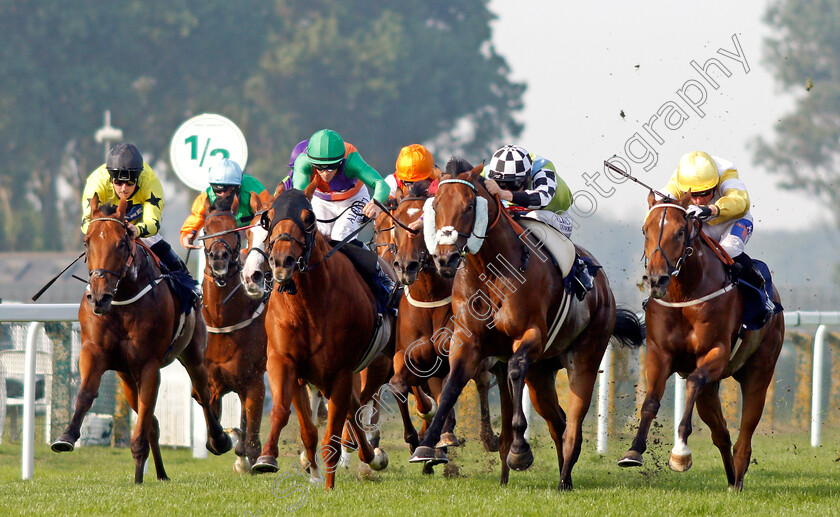 Global-Hope-0001 
 GLOBAL HOPE (2nd right, Adam Kirby) beats WAR OF CLANS (right) COMMANDER HAN (2nd left) and GAVI DI GAVI (left) in The Download The At The Races App Handicap
Yarmouth 15 Sep 2020 - Pic Steven Cargill / Racingfotos.com