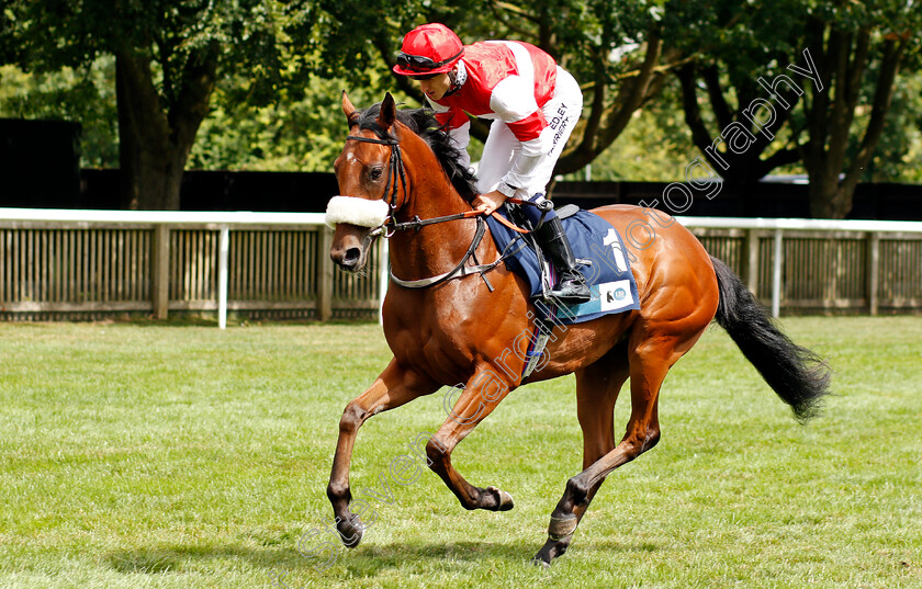 Lady-Ayresome-0001 
 LADY AYRESOME (Oisin McSweeney)
Newmarket 31 Jul 2021 - Pic Steven Cargill / Racingfotos.com