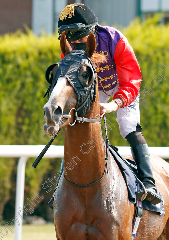 Vindicate-0001 
 VINDICATE (Ryan Moore) before winning The Free Tips Daily On attheraces.com Handicap
Wolverhampton 11 Aug 2020 - Pic Steven Cargill / Racingfotos.com