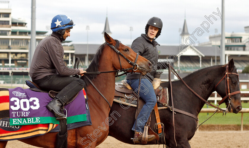 Enable-0016 
 ENABLE exercising ahead of the Breeders' Cup Turf
Churchill Downs 30 Oct 2018 - Pic Steven Cargill / Racingfotos.com