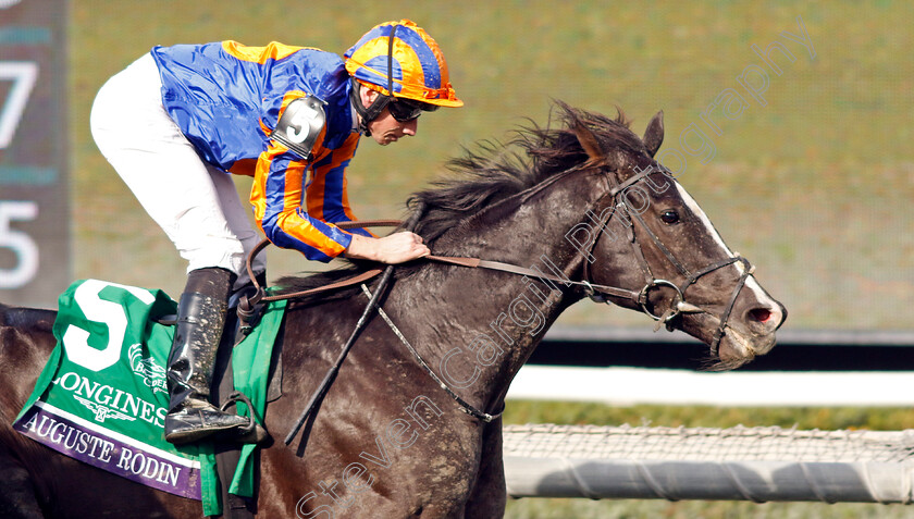 Auguste-Rodin-0004 
 AUGUSTE RODIN (Ryan Moore) wins The Breeders' Cup Turf
Santa Anita 4 Nov 2023 - pic Steven Cargill / Racingfotos.com