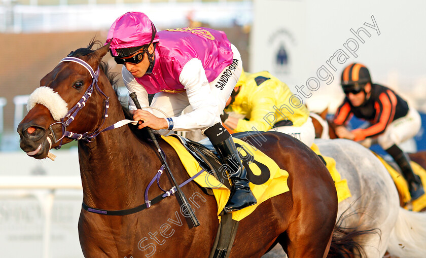 Daltrey-0005 
 DALTREY (Sandro Paiva) wins The University Of Balamand Dubai Handicap
Jebel Ali 24 Jan 2020 - Pic Steven Cargill / Racingfotos.com