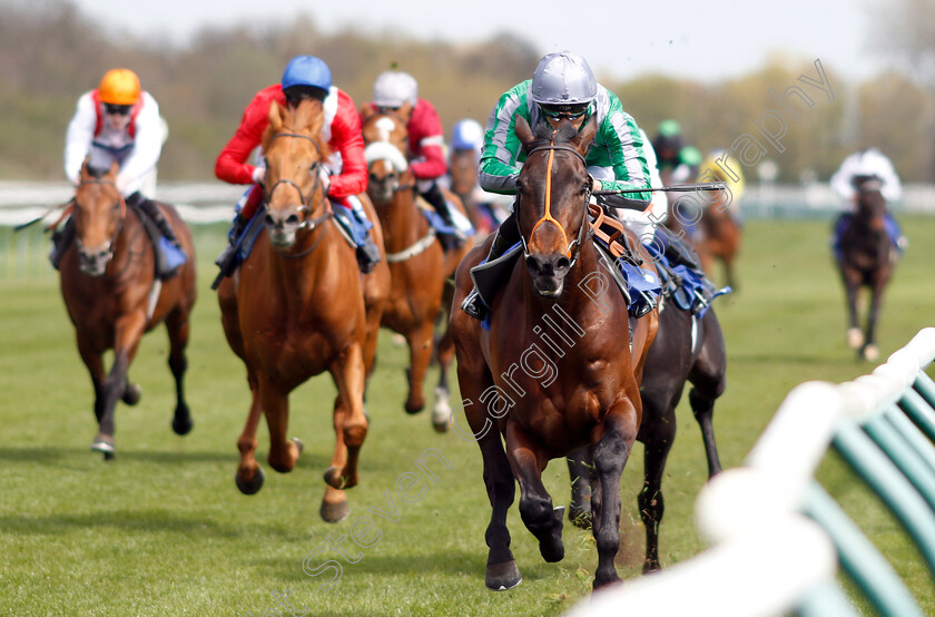 King-Of-Change-0003 
 KING OF CHANGE (Sean Levey) wins The Introducing Racing TV Novice Stakes
Nottingham 10 Apr 2019 - Pic Steven Cargill / Racingfotos.com