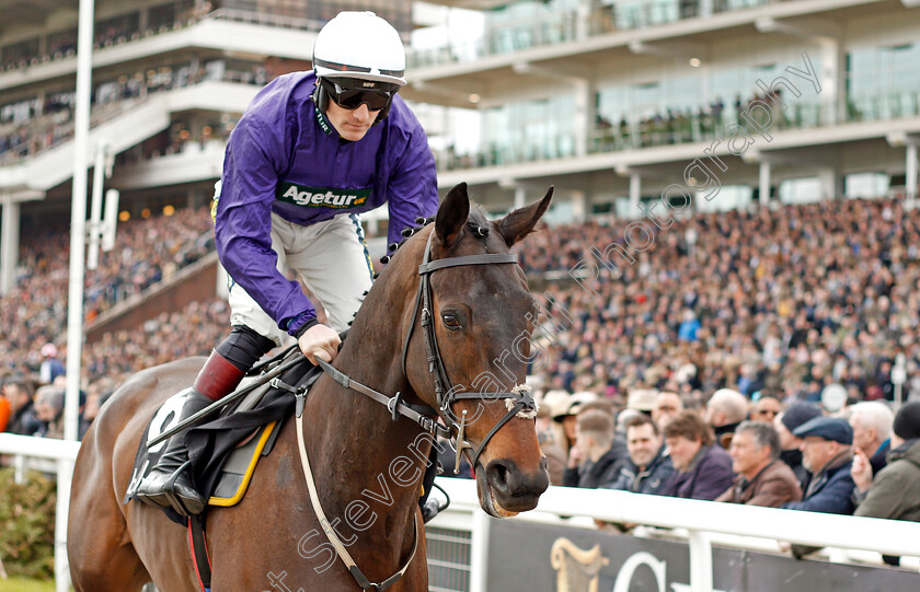 Mossy-Fen-0001 
 MOSSY FEN (Sam Twiston-Davies)
Cheltenham 11 Mar 2020 - Pic Steven Cargill / Racingfotos.com