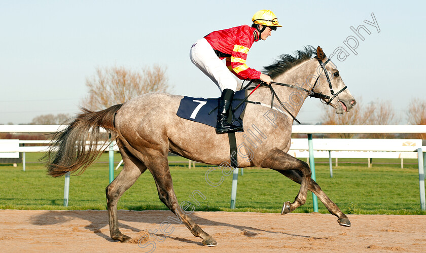 Zip-0001 
 ZIP (Sebastian Woods)
Southwell 11 Dec 2018 - Pic Steven Cargill / Racingfotos.com